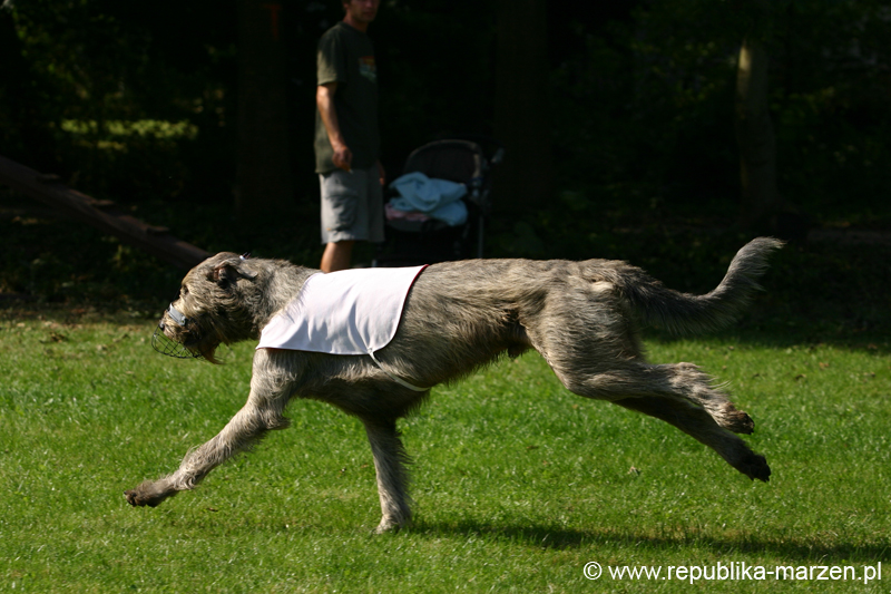 TullamoreCup09_1303