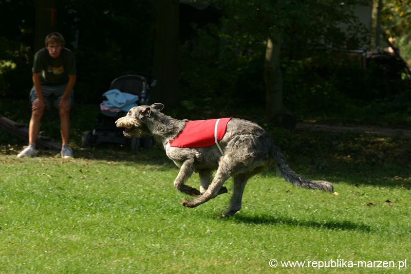 TullamoreCup09_1305