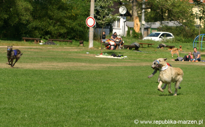 TullamoreCup09_1318