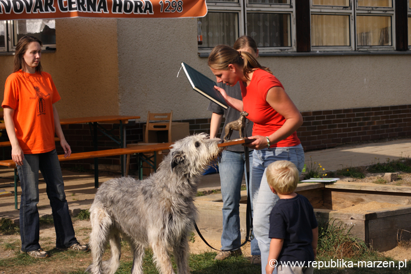 TullamoreCup09_1429