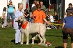 TullamoreCup09_0857