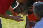 TullamoreCup09_0861