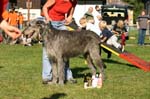 TullamoreCup09_0864