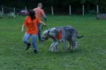 TullamoreCup09_0931