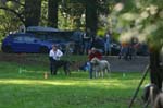 TullamoreCup09_1038