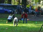 TullamoreCup09_1040