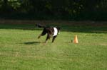 TullamoreCup09_1131