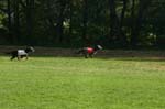 TullamoreCup09_1133