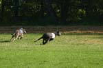 TullamoreCup09_1152