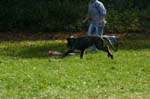 TullamoreCup09_1220
