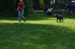 TullamoreCup09_1225