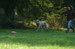 TullamoreCup09_1231