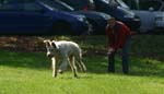 TullamoreCup09_1257