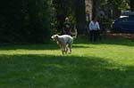 TullamoreCup09_1258