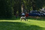 TullamoreCup09_1260