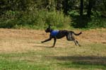 TullamoreCup09_1278