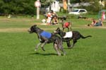 TullamoreCup09_1280