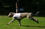 TullamoreCup09_1303