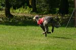 TullamoreCup09_1306