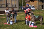 TullamoreCup09_1395