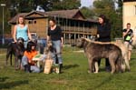 TullamoreCup09_1421