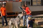 TullamoreCup09_1429