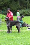 IMG_0446