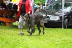 IMG_0459
