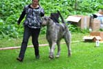 IMG_0470