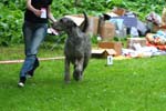 IMG_0471