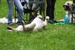 IMG_0489