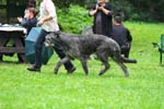 IMG_0493