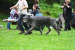 IMG_0494