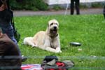 IMG_0541