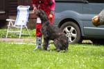 IMG_0550