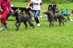 IMG_0552