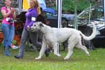 IMG_0608