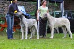 IMG_0615