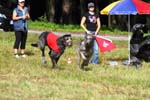 IMG_0757