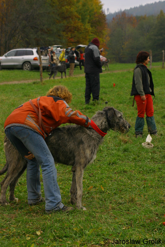 IMG_8574