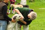 IMG_5850