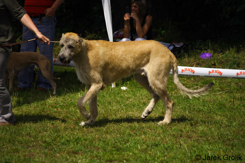 CRW_5058