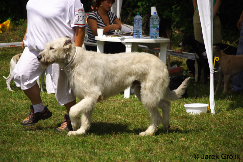 CRW_5060