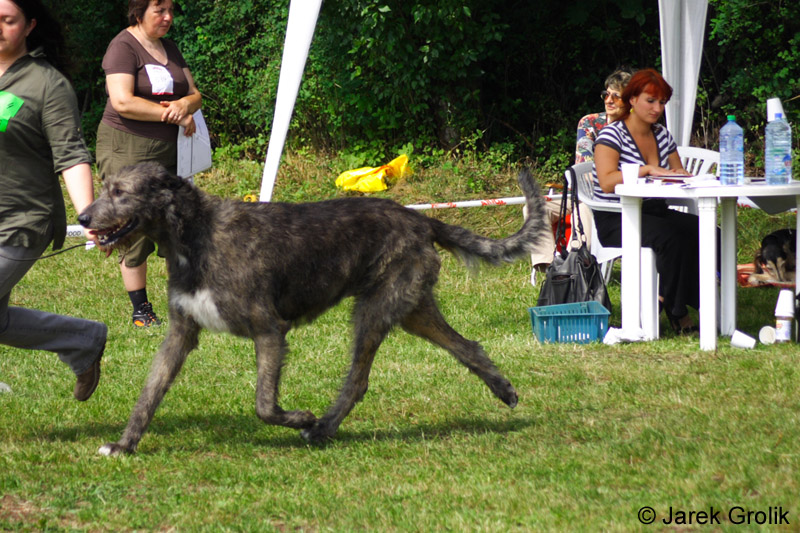CRW_5086