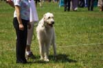 CRW_5035