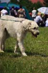 CRW_5037