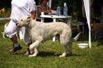 CRW_5060
