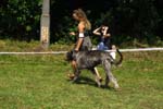 CRW_5080