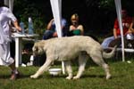 CRW_5083