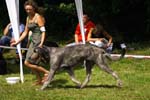 CRW_5084